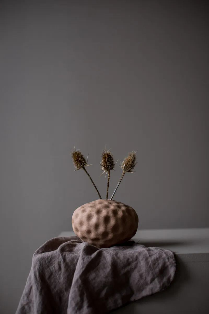 Seedpod Walnut Small