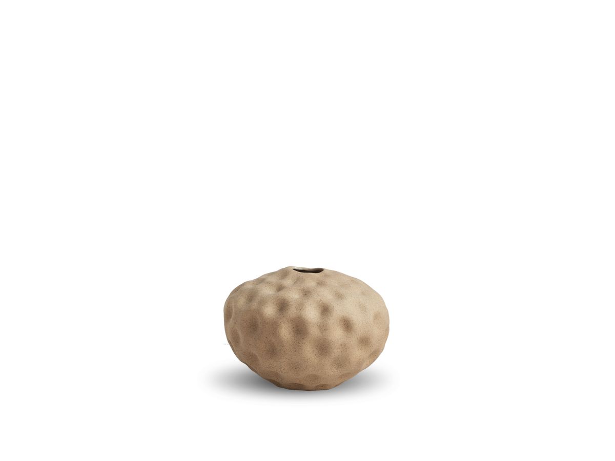 Seedpod Walnut Small