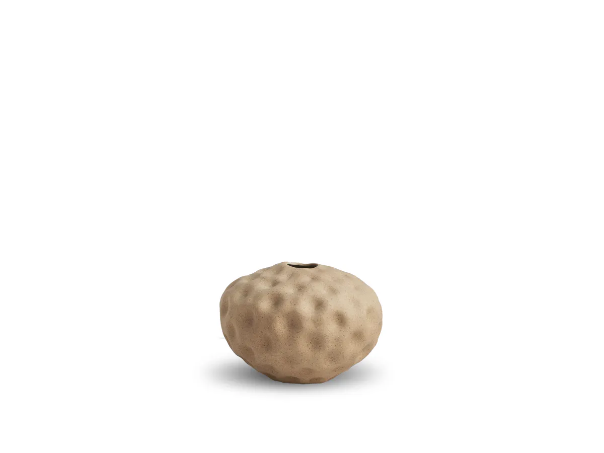 Seedpod Walnut Small